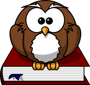 owl-47526_1280