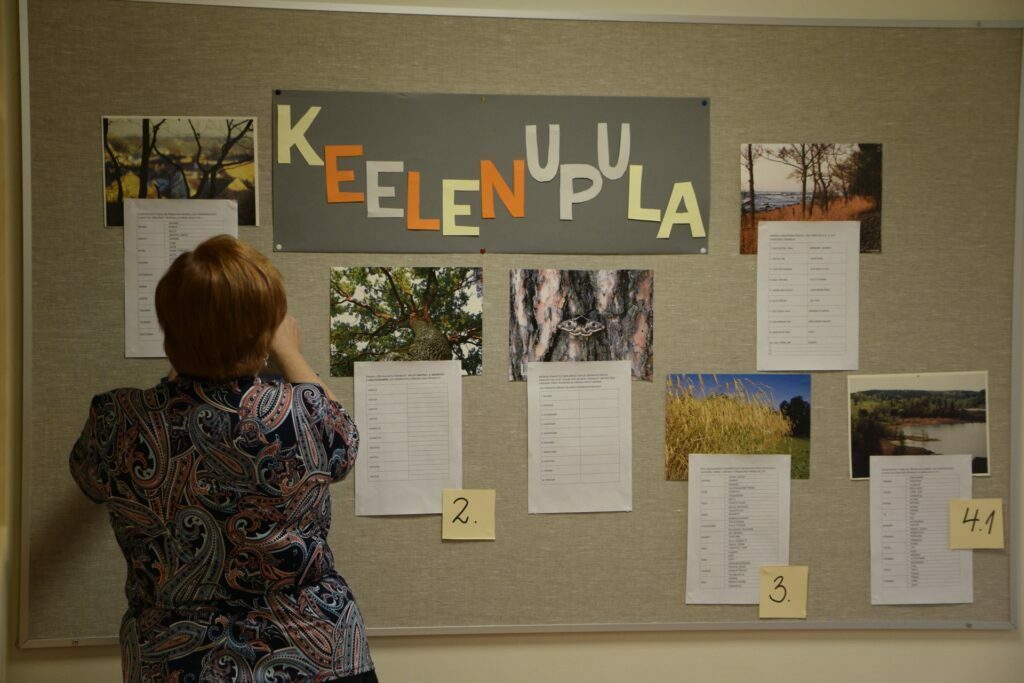 Faili _DSC0023.JPG koopia